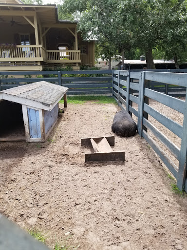 Stable «Lawton Stables», reviews and photos, 190 Greenwood Dr, Hilton Head Island, SC 29928, USA