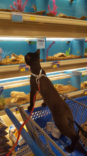 Pet Supply Store «PetSmart», reviews and photos, 291 Skokie Blvd, Northbrook, IL 60062, USA
