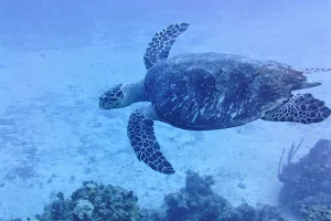 Garfield Diving Station image