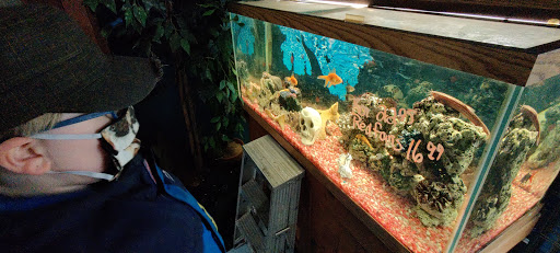 Pet Store «Night Stalkers Pet Emporium», reviews and photos, 5008 Madison Ave, Anderson, IN 46013, USA