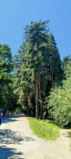 Golf Course «Green Lake Pitch & Putt», reviews and photos, 5701 Green Lake Way N, Seattle, WA 98103, USA