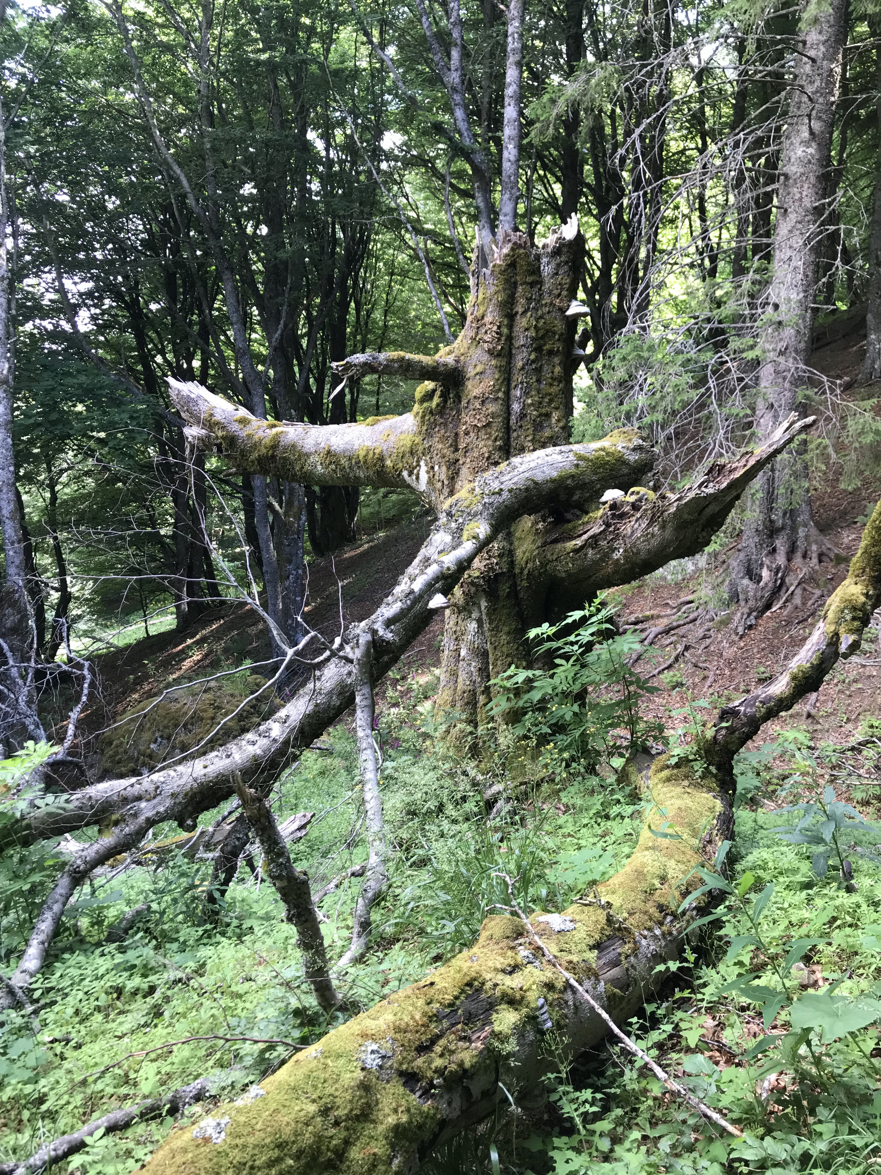 Photo n° 14 de l'avis de thierry.h fait le 10/07/2019 à 11:38