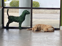 CLE Unleashed - Photo 4 - Car repair in North Olmsted, OH, Cleveland