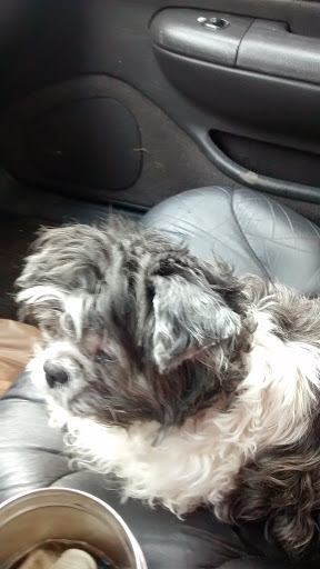 Pet Supply Store «PetSmart», reviews and photos, 3033 NY-50, Saratoga Springs, NY 12866, USA