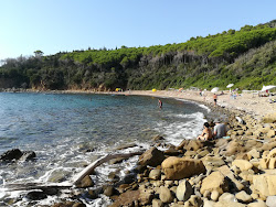 Photo de Martina Beach situé dans une zone naturelle