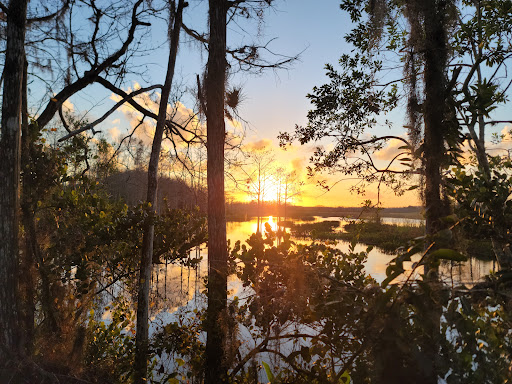 Nature Preserve «Grassy Waters Preserve», reviews and photos, 8264 Northlake Blvd, West Palm Beach, FL 33412, USA