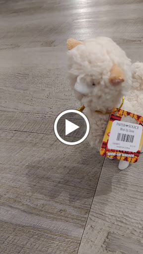 Shopping Mall «Baybrook Mall», reviews and photos, 500 Baybrook Mall Dr, Friendswood, TX 77546, USA