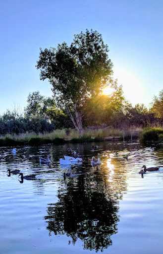 Nature Preserve «Wilson Springs Ponds», reviews and photos, 3209-3507 S Powerline Rd, Nampa, ID 83686, USA