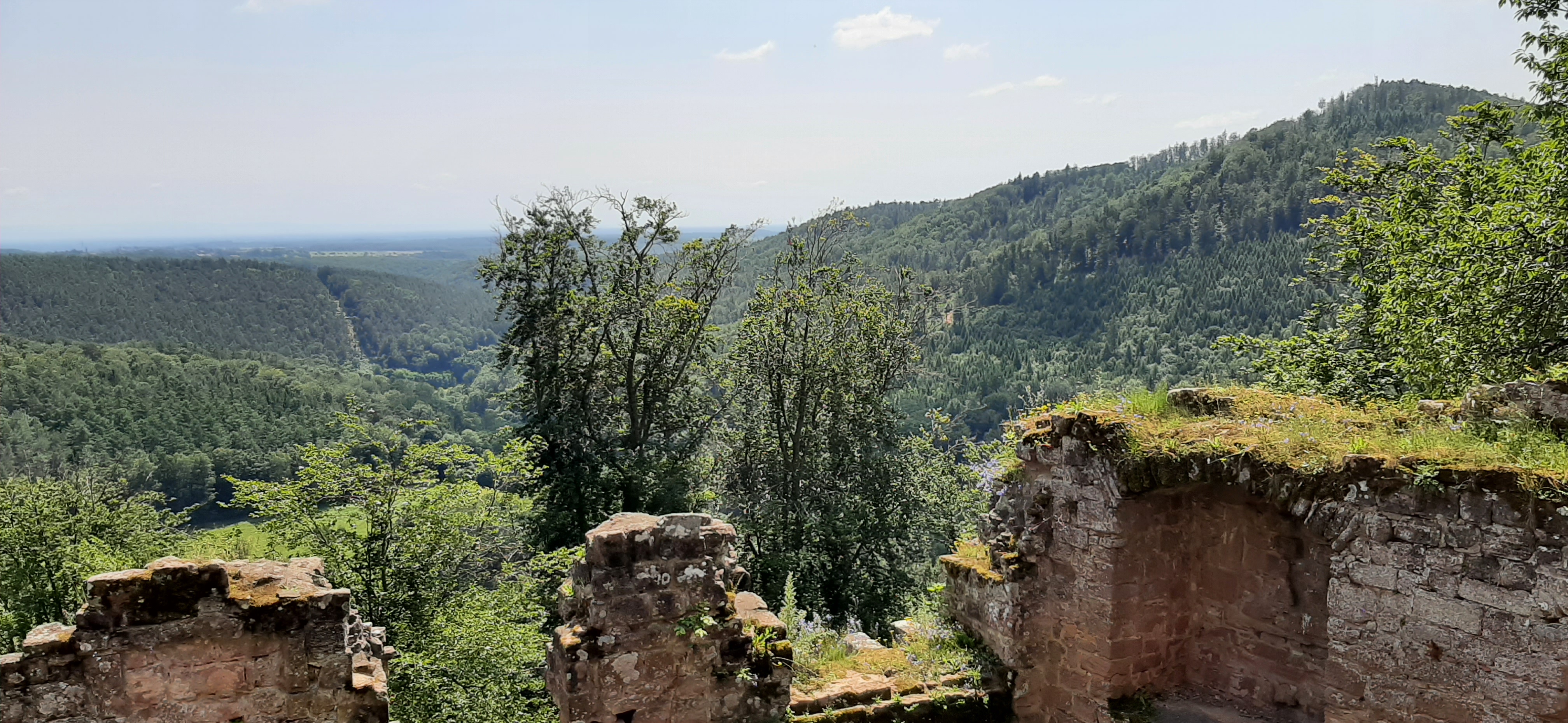 Photo n° 3 de l'avis de Carlos.a fait le 18/07/2021 à 16:13