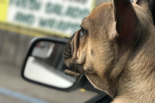 Auto Repair Shop «Autobahn Car Repair», reviews and photos, 2034 Saw Mill River Rd, Yorktown Heights, NY 10598, USA