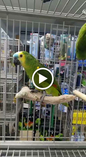 Pet Supply Store «Neighborhood Pet Shop», reviews and photos, 574 Hialeah Dr, Hialeah, FL 33010, USA