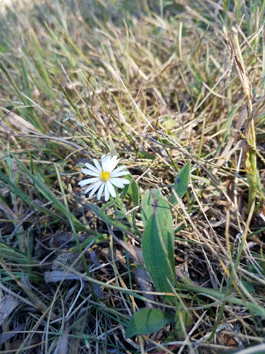 Nature Preserve «Rock Run Preserve - Paul V. Nichols Access», reviews and photos, Essington Rd, Joliet, IL 60435, USA