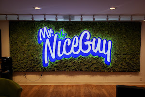 Mr. Nice Guy - State - Salem