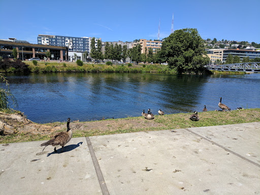 Park «Lake Union Park», reviews and photos, 860 Terry Ave N, Seattle, WA 98109, USA