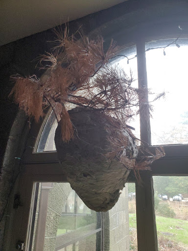 Nature Preserve «Seatuck Environmental Association», reviews and photos, 550 S Bay Ave, Islip, NY 11751, USA