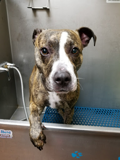 Pet Store «Pet Valu», reviews and photos, 1016 Beards Hill Rd, Aberdeen, MD 21001, USA