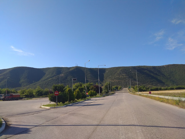 Chrisanthidis Stores (Moustheni) - Βενζινάδικο