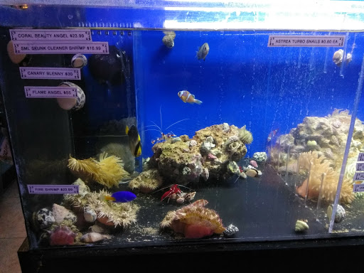 Pet Store «Discount Pets & Supplies», reviews and photos, 211 Hancock Bridge Pkwy, Cape Coral, FL 33990, USA