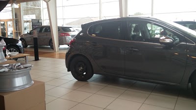 car-dealer