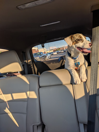 Pet Supply Store «PetSmart», reviews and photos, 3401 Erie Blvd E, Syracuse, NY 13214, USA