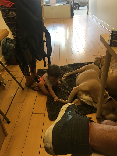 Cell Phone Store «Wireless Options», reviews and photos, 337 19th St, Oakland, CA 94612, USA