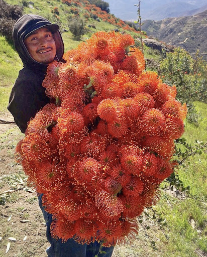 Florist «Sweet Pea Florist», reviews and photos, 5918 Naples Plaza, Long Beach, CA 90803, USA