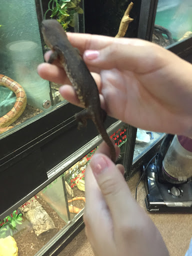 Pet Supply Store «Pet City», reviews and photos, 185 Lafayette Rd, Seabrook, NH 03874, USA