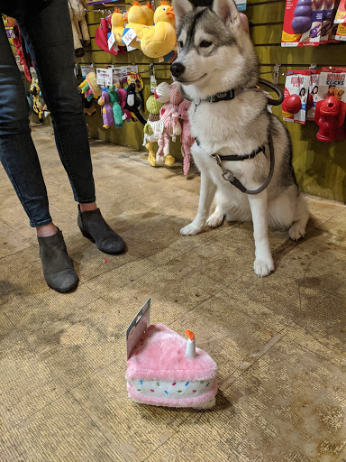 Pet Store «Next to Nature», reviews and photos, 4543 California Ave SW, Seattle, WA 98116, USA