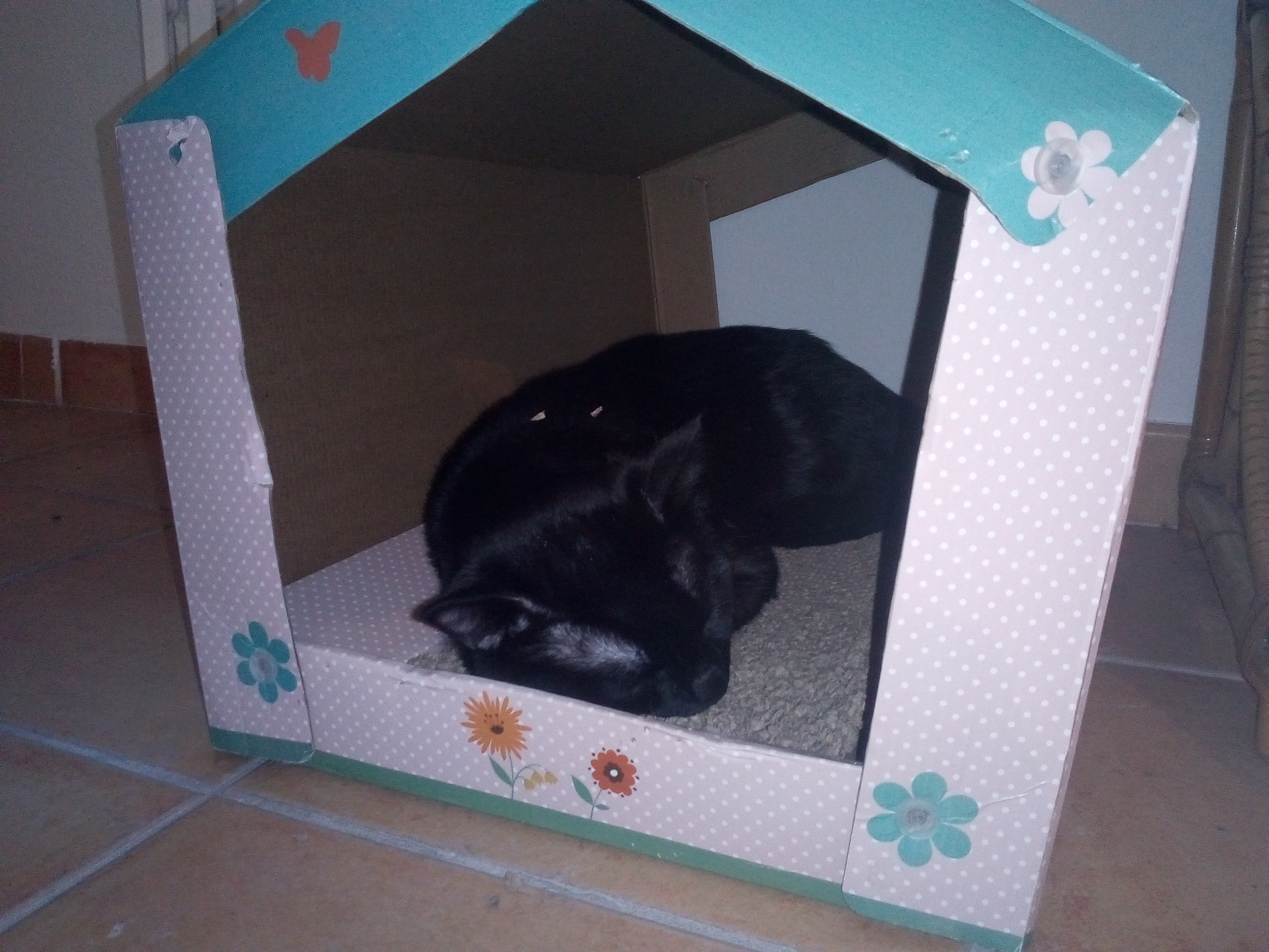 Photo n° 1 de l'avis de No.a fait le 24/03/2018 à 13:16