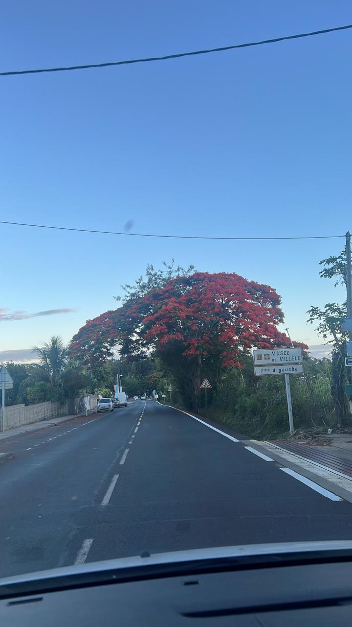 Photo n° 1 de l'avis de DDD.l fait le 08/12/2023 à 21:44