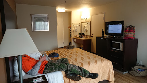 Quality Inn near Six Flags Discovery Kingdom-Napa Valley image