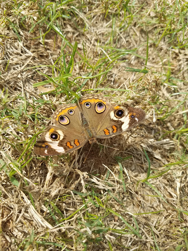 Park «Cathedral Square», reviews and photos, 300 Conti St, Mobile, AL 36602, USA