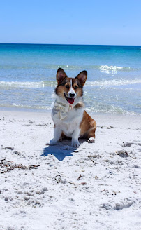 CH Photography - Photo 4 - Car repair in Southport, FL, Panama City