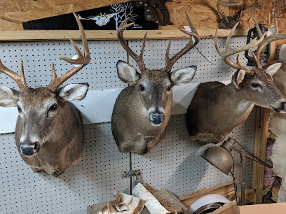 Wildwoods Taxidermy And Processing