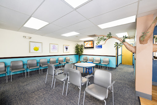Denver Youth Dentistry and Orthodontics Photo