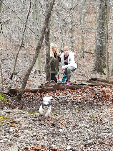 Golf Club «West Winds Golf Club», reviews and photos, 11330 Country Club Rd, New Market, MD 21774, USA