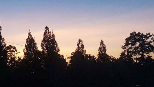 Amphitheater «Verizon Wireless Amphitheatre at Encore Park», reviews and photos, 2200 Encore Pkwy, Alpharetta, GA 30009, USA