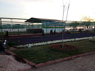 Park Bahçeler Müdürlüğü