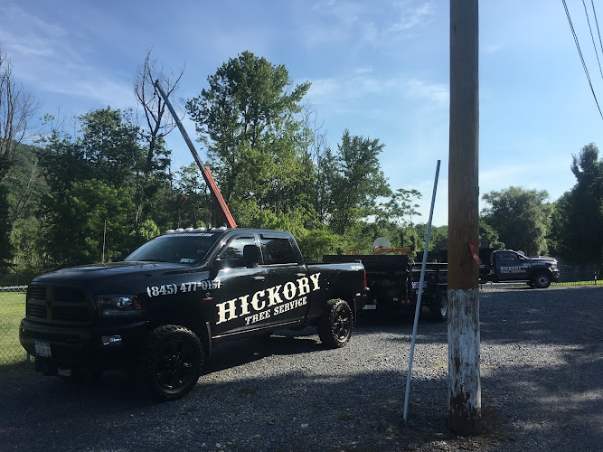 Hickory Tree & Landscaping Inc