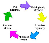 Body Smith Chiropractic - Photo 8 - Car repair in Seattle, WA, Seattle