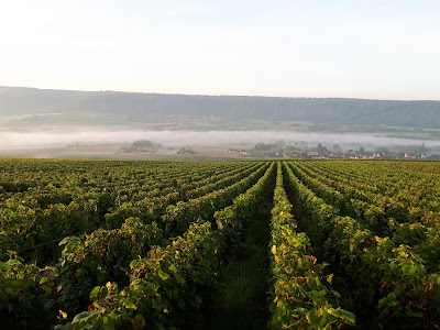 Champagne Jean Marie Mercier et Fils à Passy-sur-Marne