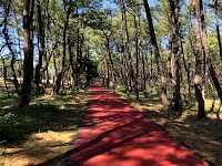 阿波岐原森林公園