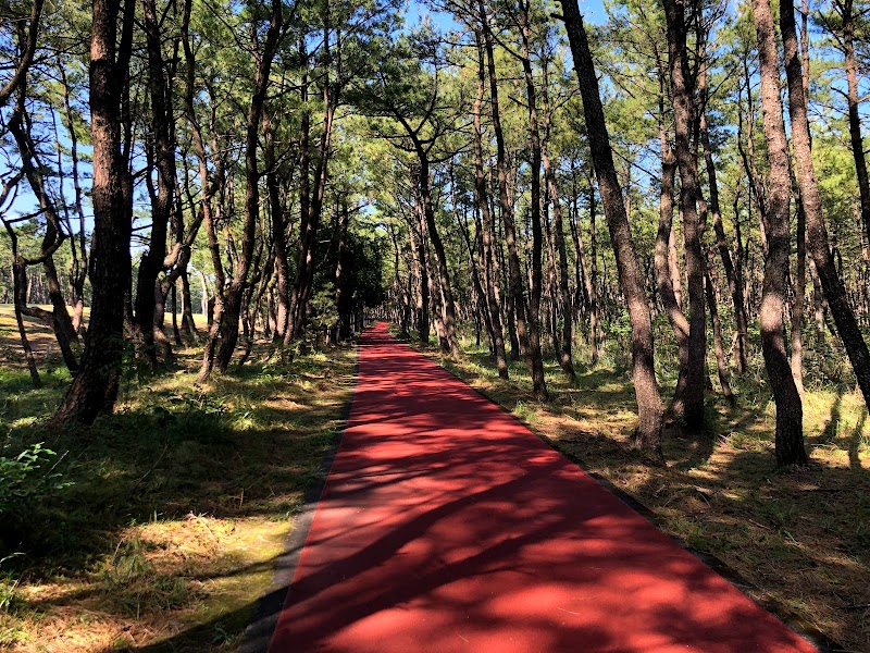 阿波岐原森林公園