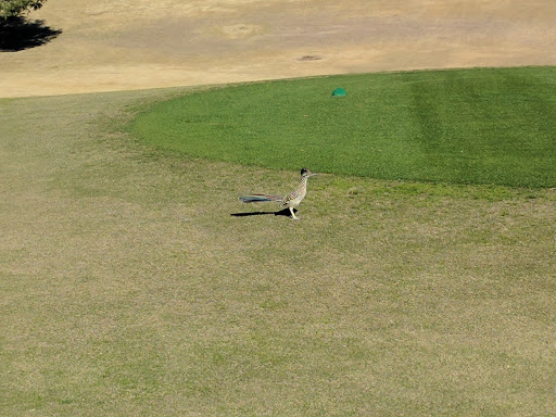Golf Course «Aguila Golf Course», reviews and photos, 8440 S 35th Ave, Laveen Village, AZ 85339, USA