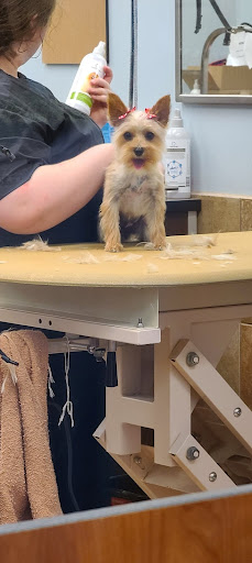 Pet Supply Store «PetSmart», reviews and photos, 5 Hampton House Rd, Newton, NJ 07860, USA