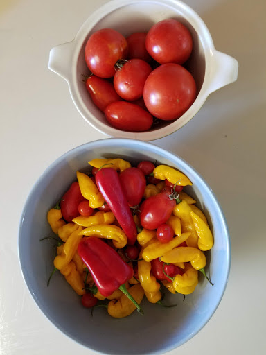 Orchard «Curtis Orchard & Pumpkin Patch», reviews and photos, 3902 S Duncan Rd, Champaign, IL 61822, USA