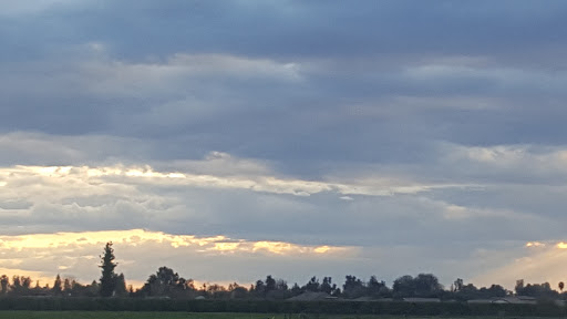 Discount Store «Dollar General», reviews and photos, 1210 W Visalia Rd, Exeter, CA 93221, USA