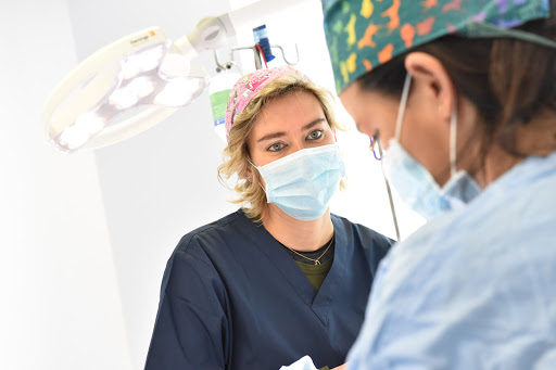 Pensioni per cani e dog hotel a Clinica Veterinaria Serenissima