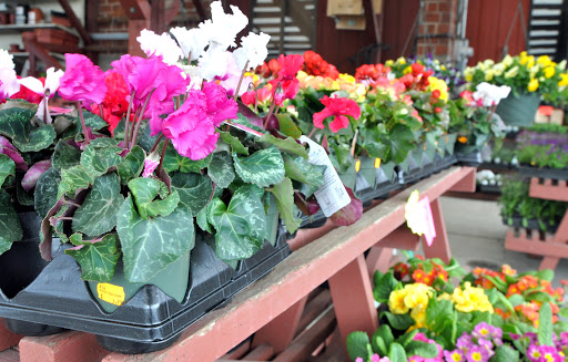 Animal Feed Store «Burns Feed Store», reviews and photos, 29215 SE Orient Dr, Gresham, OR 97080, USA