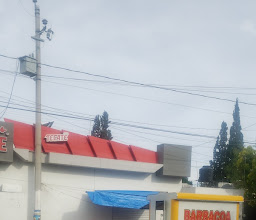 BARBACOA ESTILO PARRAL DE LA 24 photo